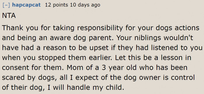 Redditors Appreciate the OP for Being a Responsible Dog Owner.