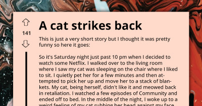 Man Pisses His Cat Off By Waking Her Up From Her Slumber, Gets Greeted With A Petty Revenge By Morning