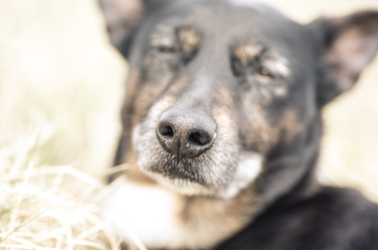 A strict primary teacher's soft side.