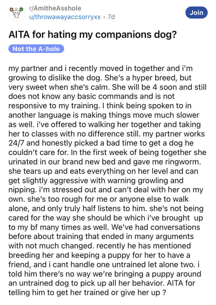 The Redditor explained that she and her partner recently moved in together, and although his dog can be "very sweet when she's calm," she is generally very hyper and out of control.