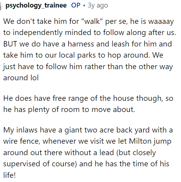OP told us a bit about what they do with the rabbit and how they take care of it on a day-to-day basis, as some people were asking her.
