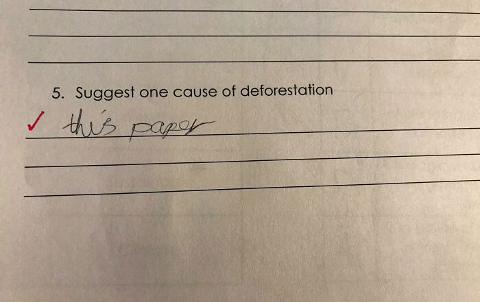 My Wife Is A Teacher And Found This While Marking An Assessment