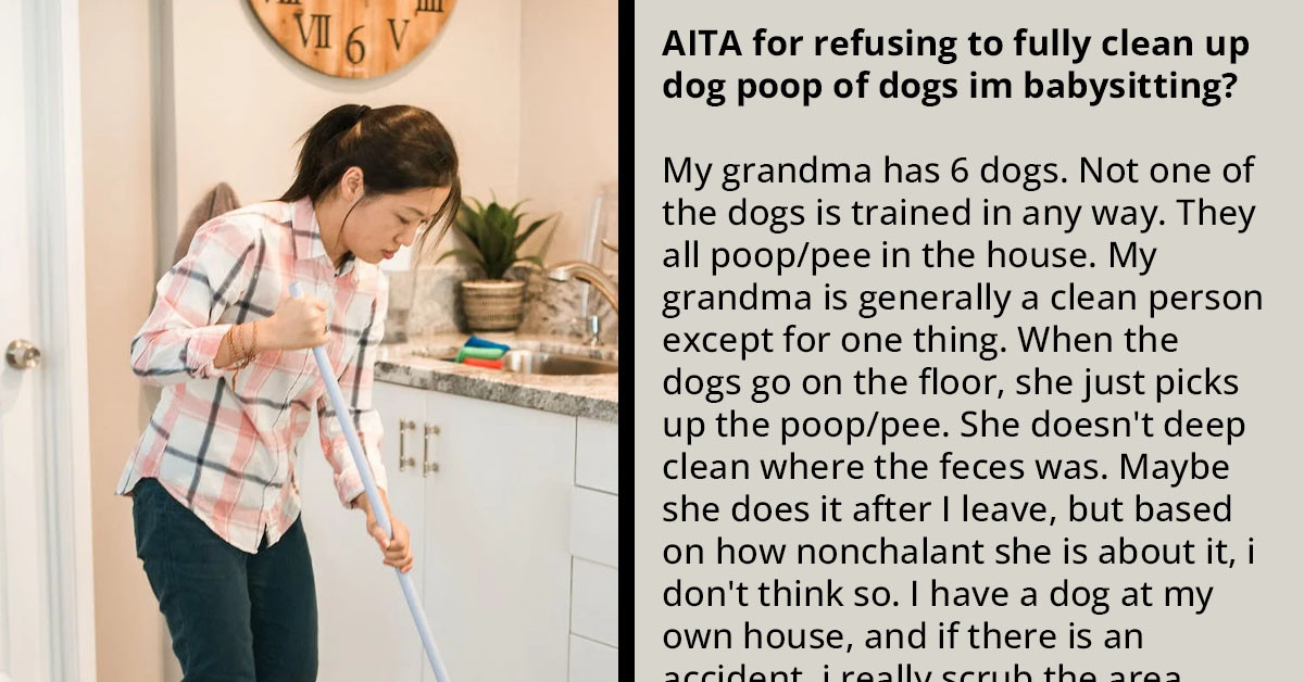 Redditor Asks If She's An A**hole For Not Cleaning Up After Her Grandmother's Six Dogs Who Like To "Poop Everywhere"