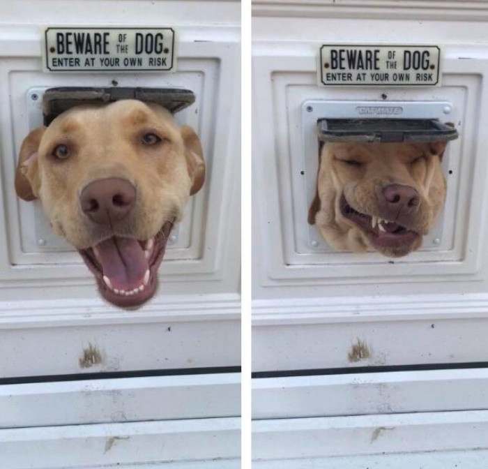 55. What goes in doesn’t always come out