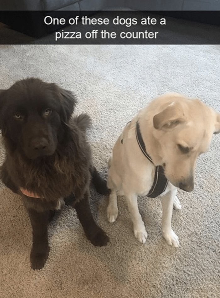 13. And both are acting like they don't know what I'm talking about.