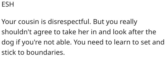 5. She shouldn't have agreed to care for the dog if she wasn't capable.