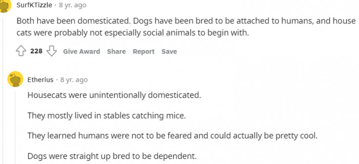 3. Dog have been bred to be attached to humans