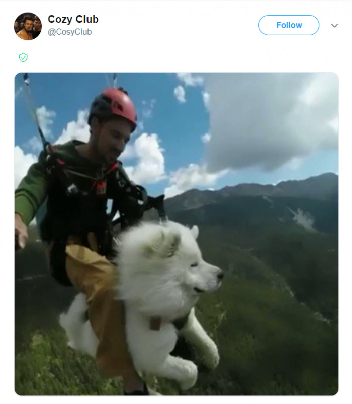 3. I wonder if he has any idea of what's going on