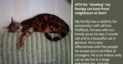 Redditors "Steals" Back Their Family Cat From Neighbors Who Claimed Their Daughter "Found" Him