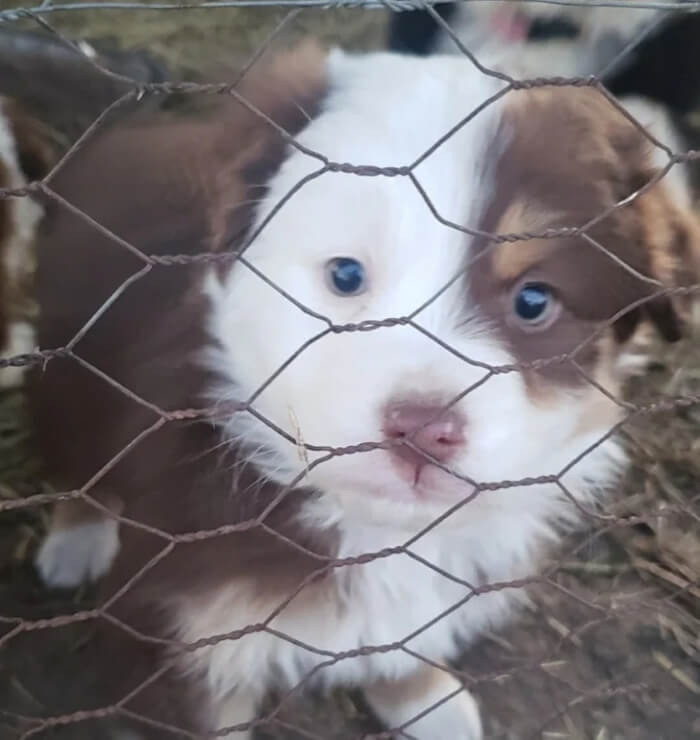 17. “Help me name him!”