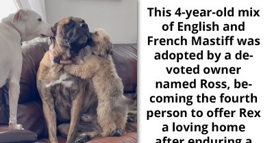 Rescue Dog Finds Comfort and Love from His Two Doggo Best Friends in the Midst of Crippling Anxiety Attacks