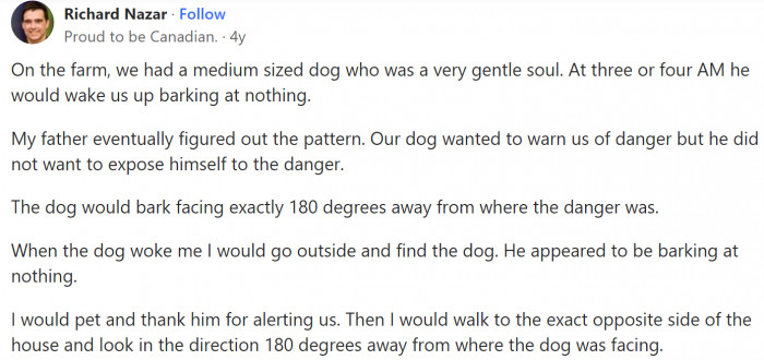 Barking at 180 degrees. Smart