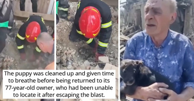 Ukrainian Police Officers Save A Puppy From A Destroyed Building And Return It To Its Elderly Owner