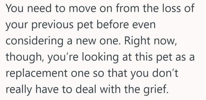 It assumes the new pet would be a shortcut around grief, not a companion through it.