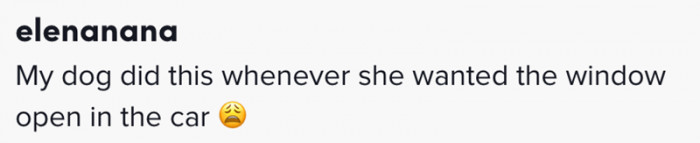 Here's when this person's dog did theirs...