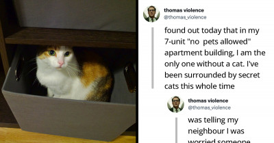 Man Discovers That Despite It Being Prohibited, Everyone In His Apartment Building Has A Cat Except Him