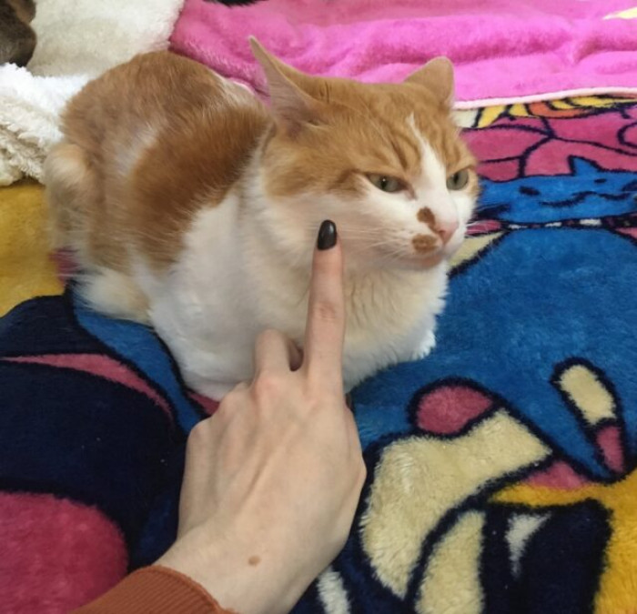 13. “This is Kamui; he’s tired of dealing with me.”