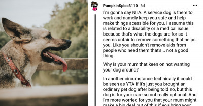Redditor Intends On Not Attending The Mom's Holiday Tea Because She Didn't Want The Service Dog To Be In Attendance