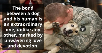 Elderly Dog Sheds Tears of Happiness as Owner Returns Home from Military Service
