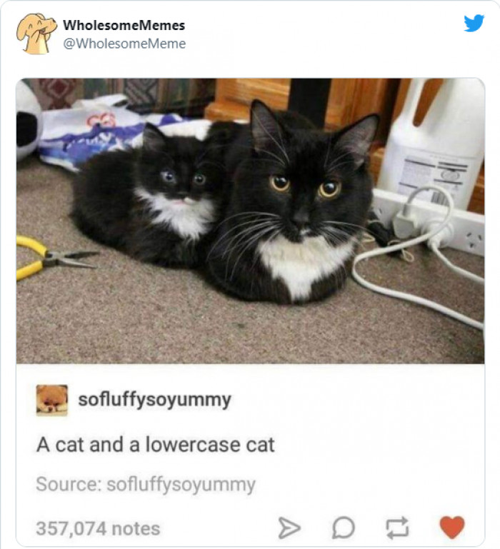 16. Whatever this language is, I totally want to learn it