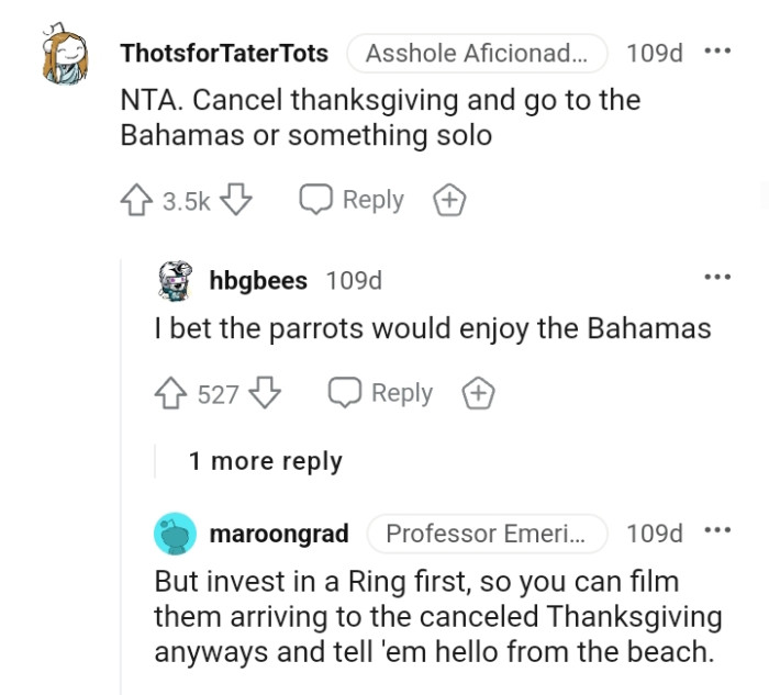 The parrots will certainly enjoy the Bahamas