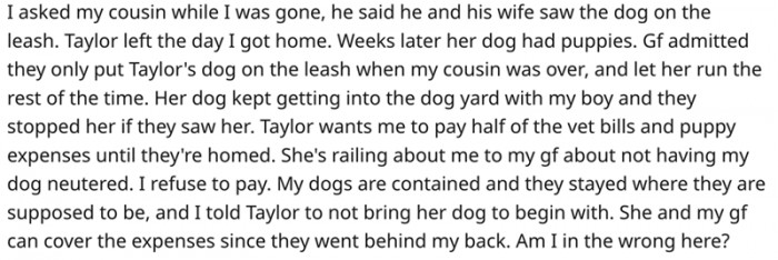 He Doesn't Want to Pay to Support the Puppies That His Dog Created, and He Has a Valid Reason