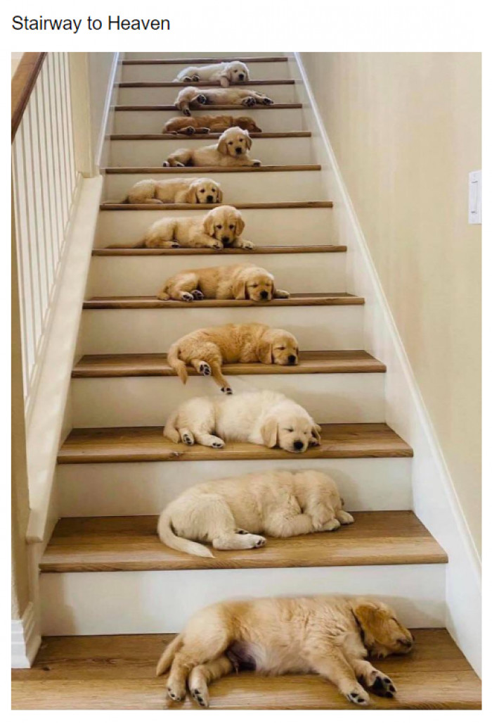 10. Heaven on Earth.