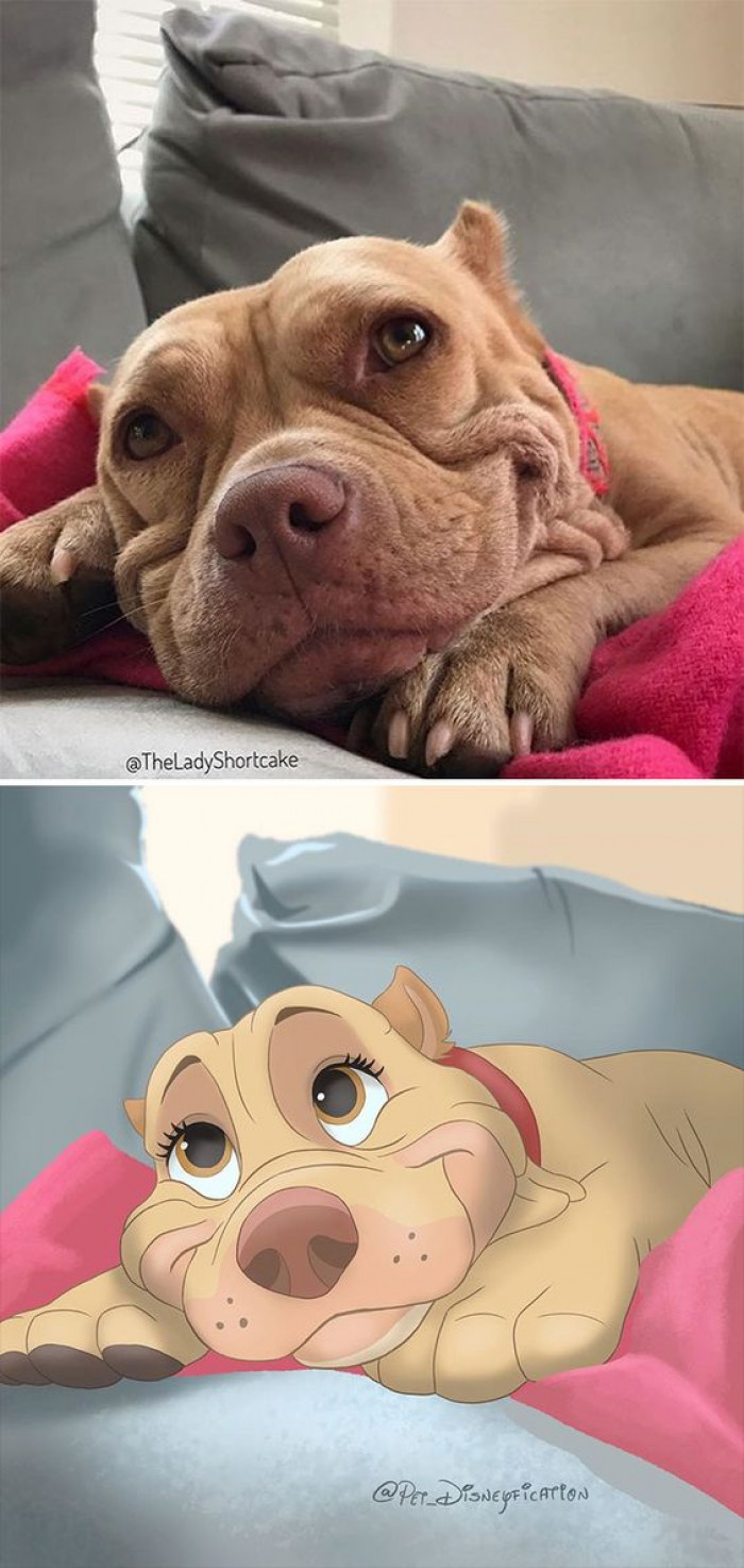 35. This picture really makes me miss having a dog. They are so full of love