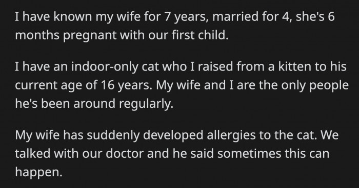 Would you be willing to rehome your old cat so he doesn't trigger your wife's allergies?