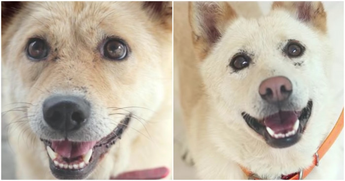 They look so much different.