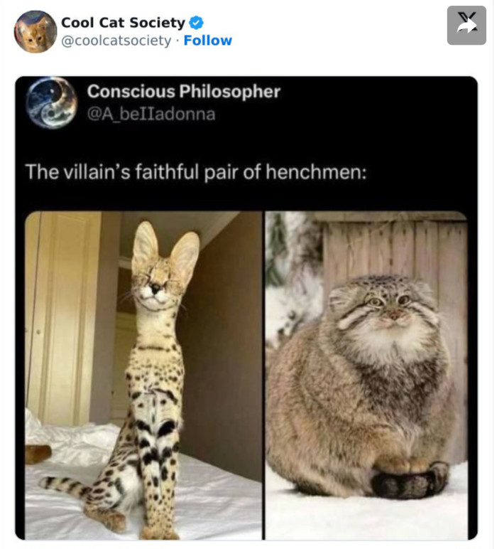 10. Proper-looking henchman