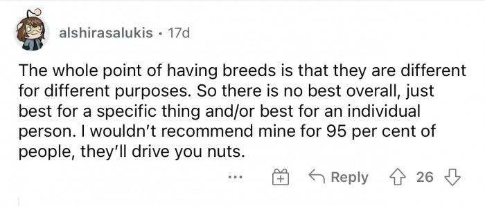 This is a great answer because every breed isn't for everyone. Some dog breeds work better in certain households than others.