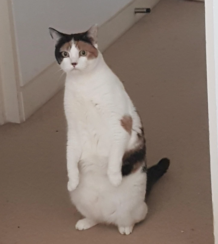 11. “Getting ready for work? I think not.”