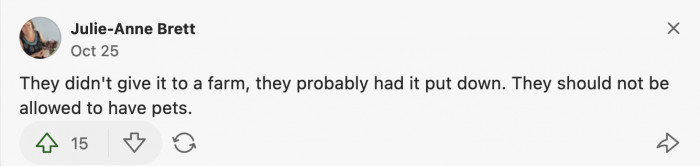 Euthanizing an old pet is not an act of cruelty; vets do not advise this medical procedure unless it's absolutely necessary.