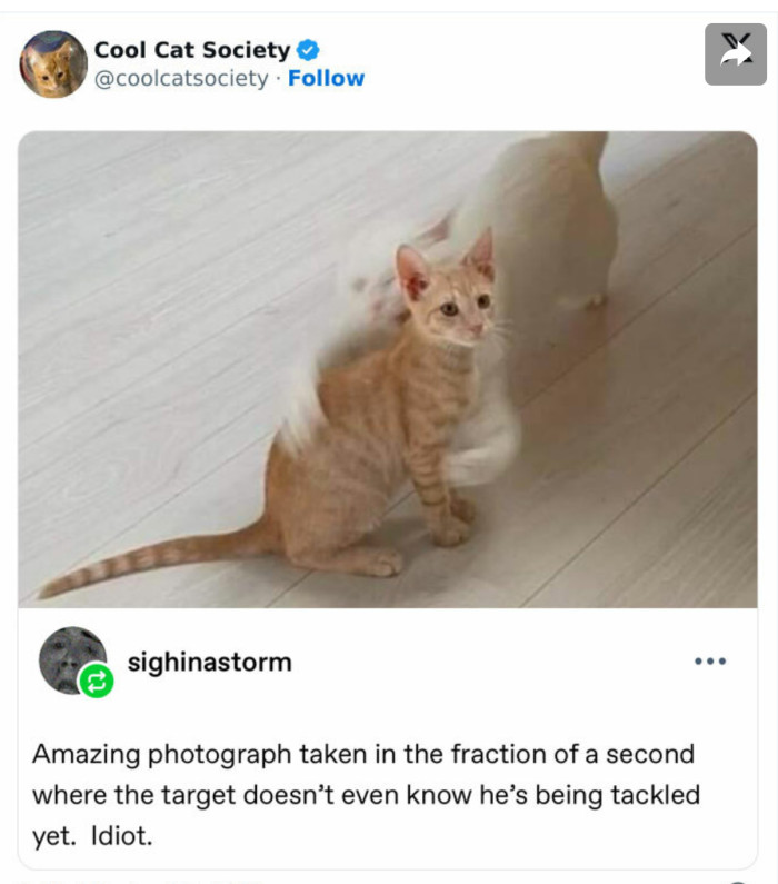 1. He doesn’t know he’s been tackled yet