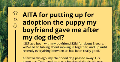 Boyfriend Surprises Grieving Girlfriend With A Dog - She Plans To Rehome It