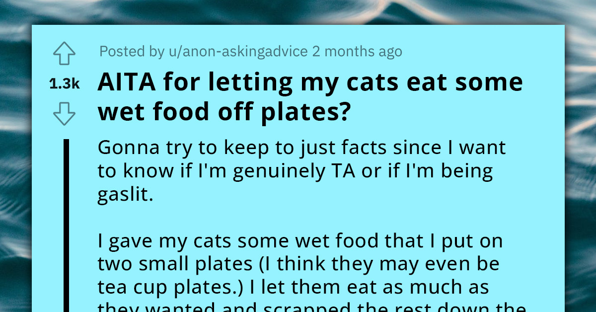 Redditor Lets Cats Eat Food From Human Plates, Faces Criticism From Mom's Boyfriend Over Etiquette And Hygiene