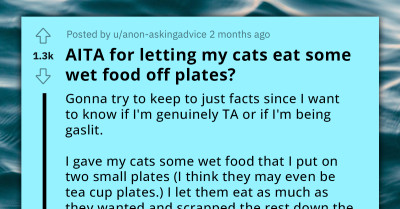 Redditor Lets Cats Eat Food From Human Plates, Faces Criticism From Mom's Boyfriend Over Etiquette And Hygiene