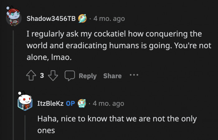 All pet owners have conversations with their pets. If you say you don't, then you're lying.