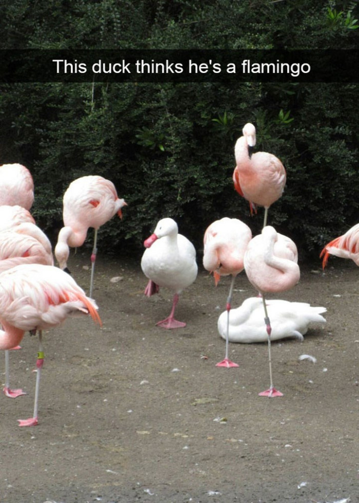 2. And he is trying to fit in with his new family