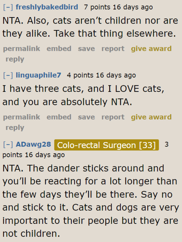 Even people who love cats are on the OP's side.