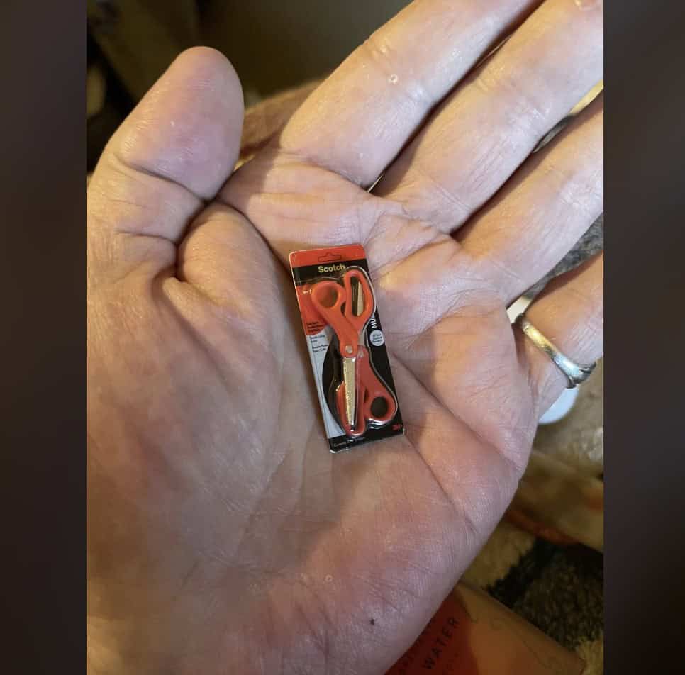 15. “What are these scissors for ants?”