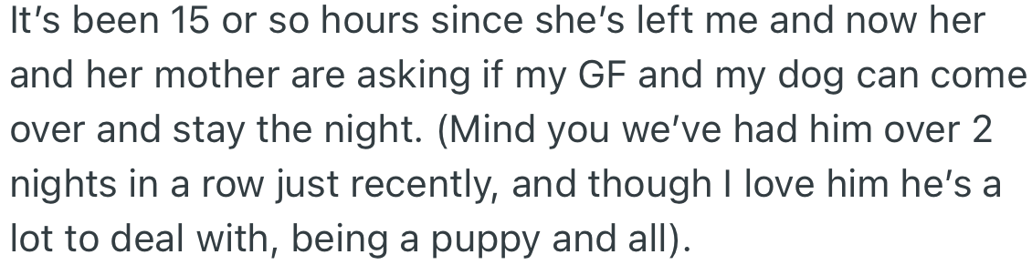 Less than a day after OP’s girlfriend heads home, she contacts him asking if the dog could come to stay overnight at his place.