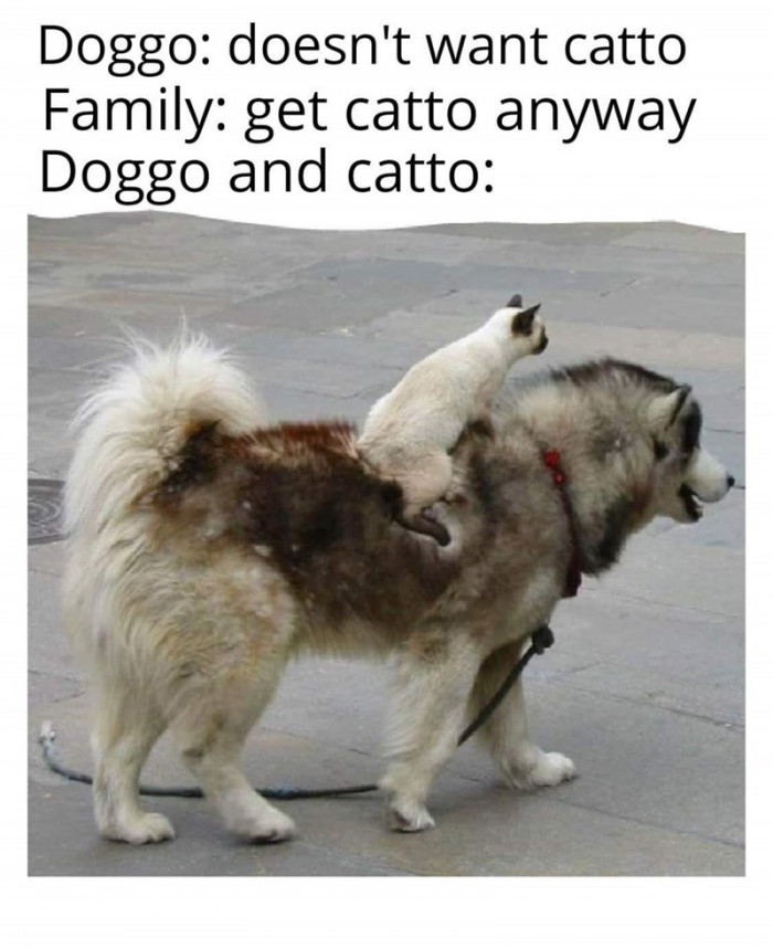 11. They always end up becoming best friends.