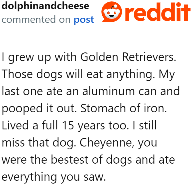 A user recalls their beloved dog that has already crossed the rainbow bridge. Like the OP's dog, their pet also ate p*op.