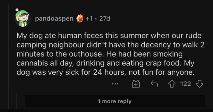 Eating human feces can make your dog extremely sick.