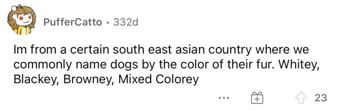 I think this is kind of common in a lot of places, but I don't blame them because they're easy names.