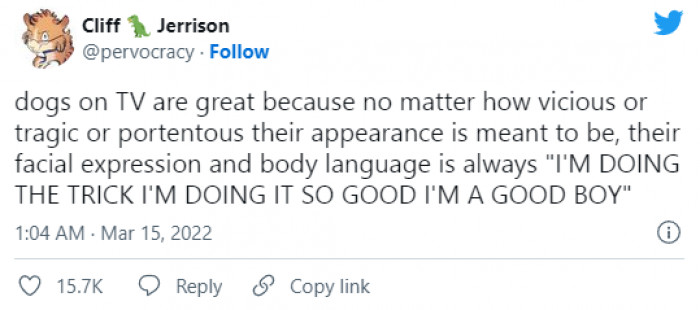 10. I Am a Good Boy!