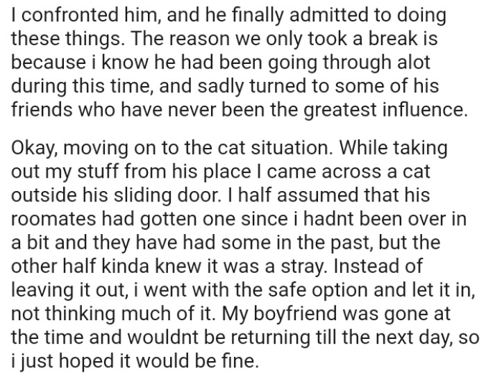 While taking out her stuff from his place, she came across a cat outside his sliding door