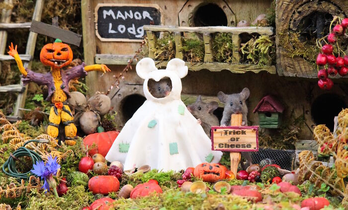 5. A Couple Of The Baby Mice Are Trick-Or-Treating With Their Ghost Costume